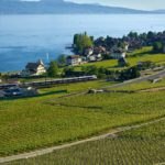 a green field with houses and trees by a body of water